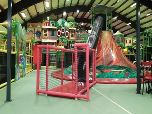 Caso de sucesso da Vasia - Alemanha