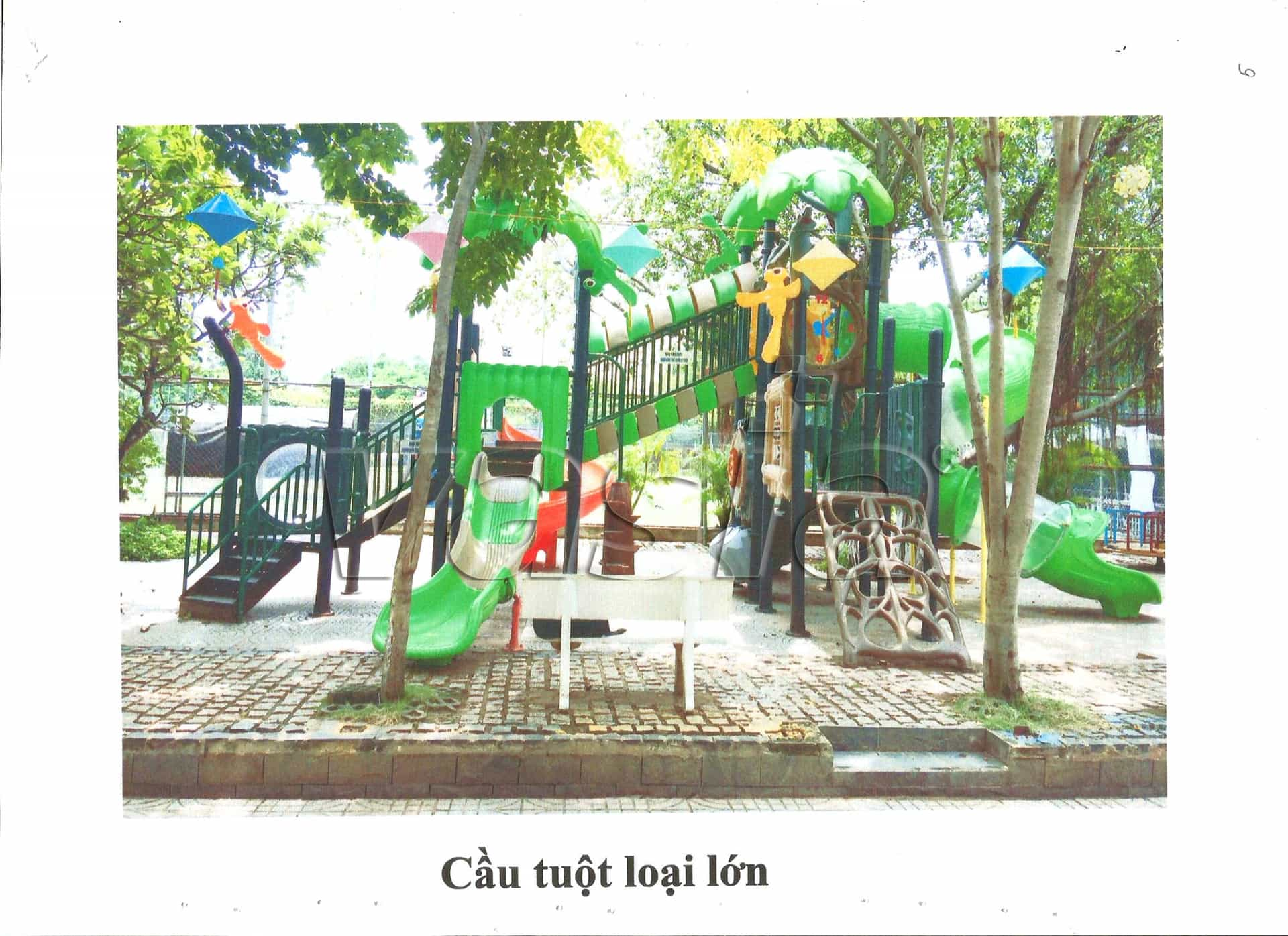 case de sucesso na polônia