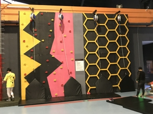 Caso de desenvolvimento doméstico de adultos nantong